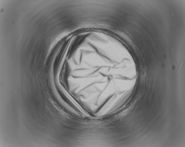 X0000060740974200512081913