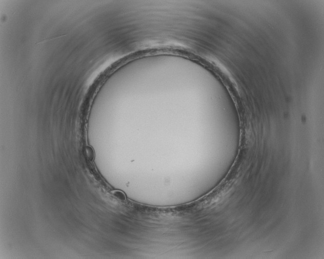 X0000060740975200512081913