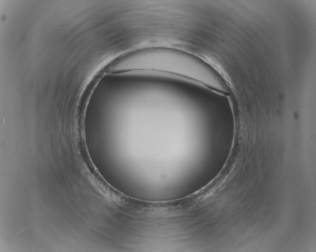 X0000060740976200512081913