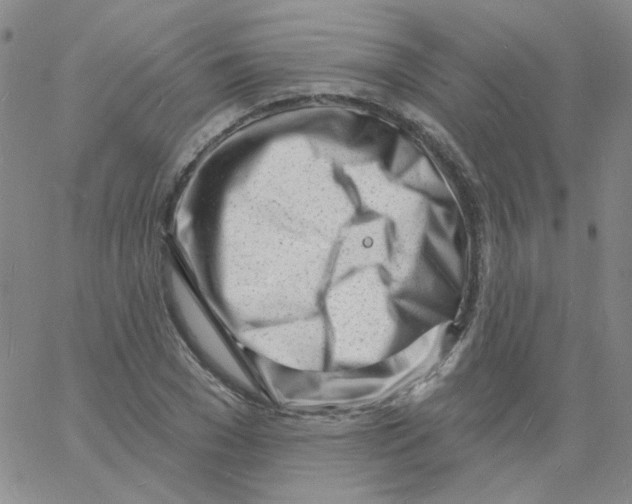 X0000060740977200512081913