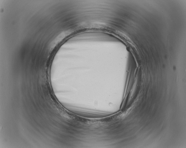 X0000060740978200512081913