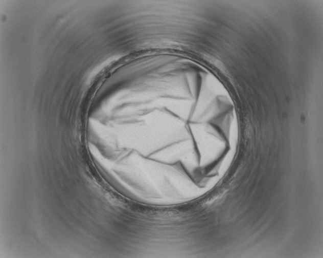 X0000060740979200512081913