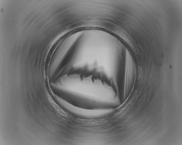 X0000060740980200512081913