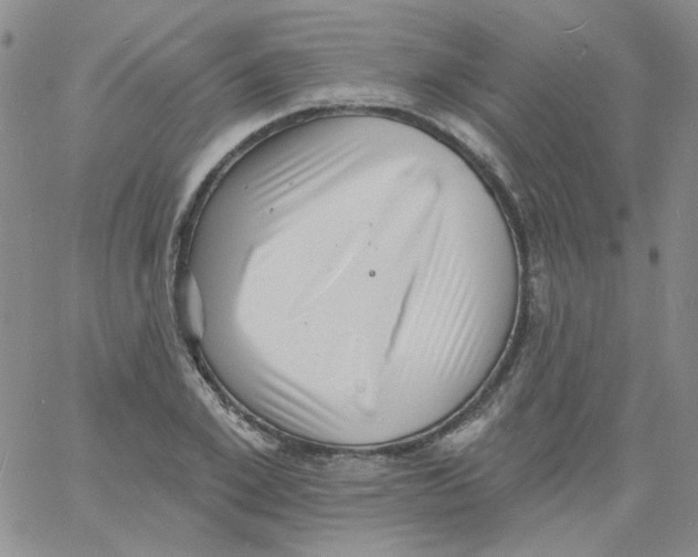 X0000060740981200512081913