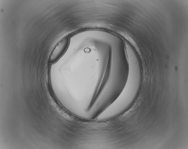 X0000060740984200512081913