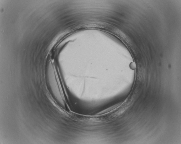 X0000060740986200512081913