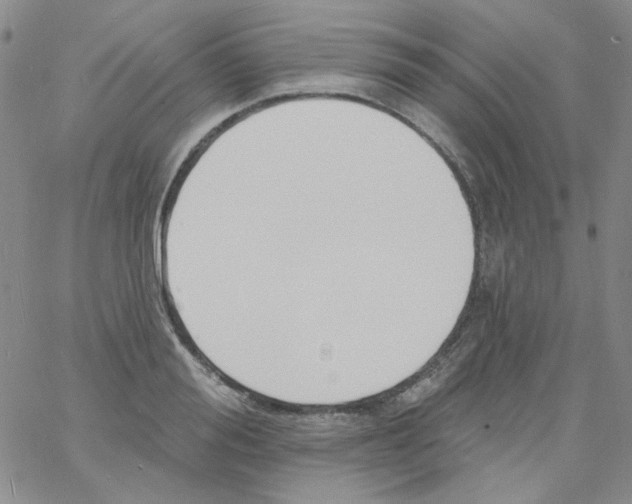 X0000060740988200512081913