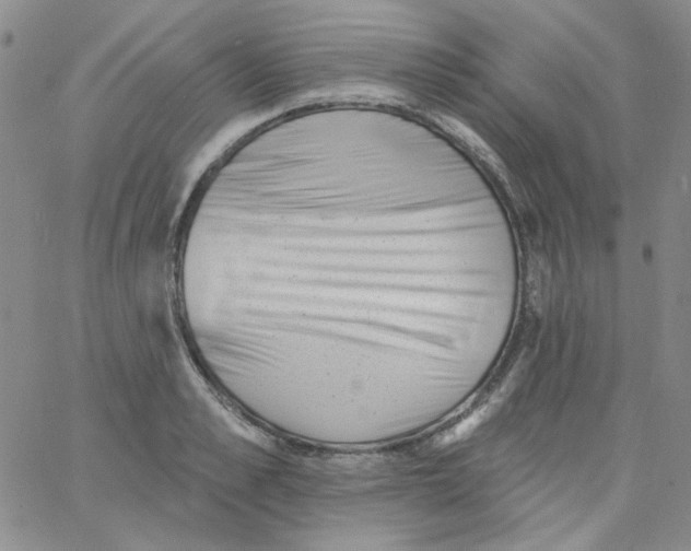 X0000060740989200512081913