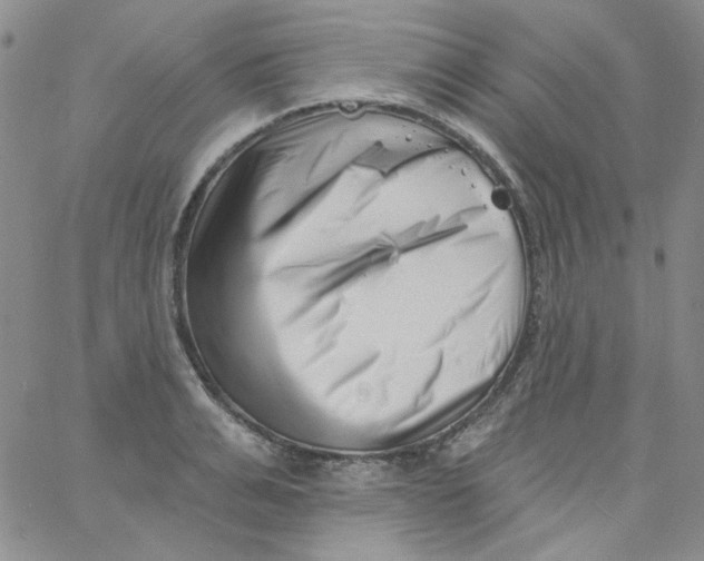 X0000060740991200512081913