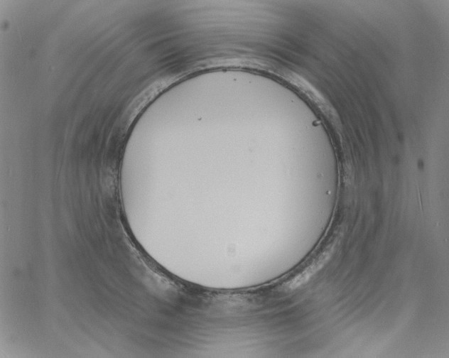 X0000060740993200512081913