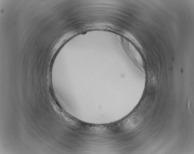 X0000060740994200512081913