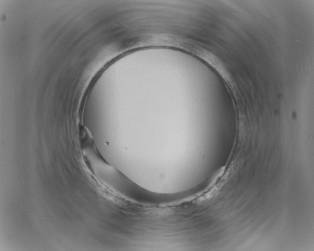 X0000060740996200512081913