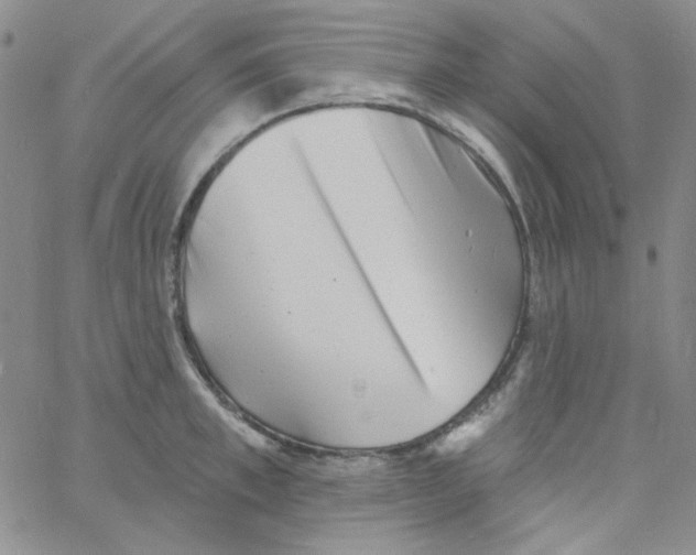 X0000060740997200512081913