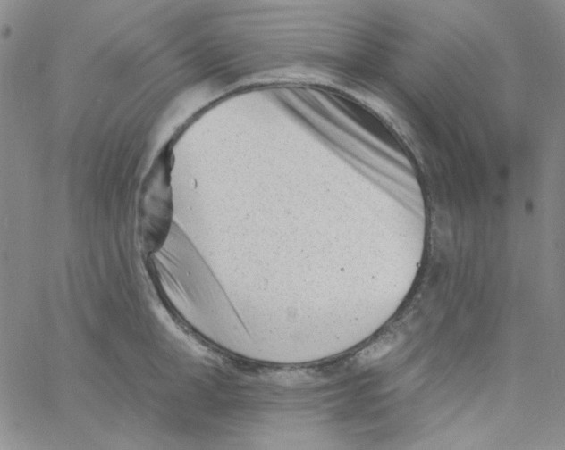 X0000060740998200512081913