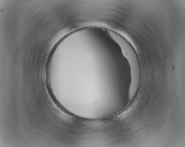 X0000060740999200512081913