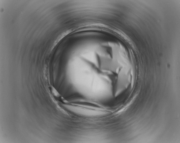 X0000060741001200512081913