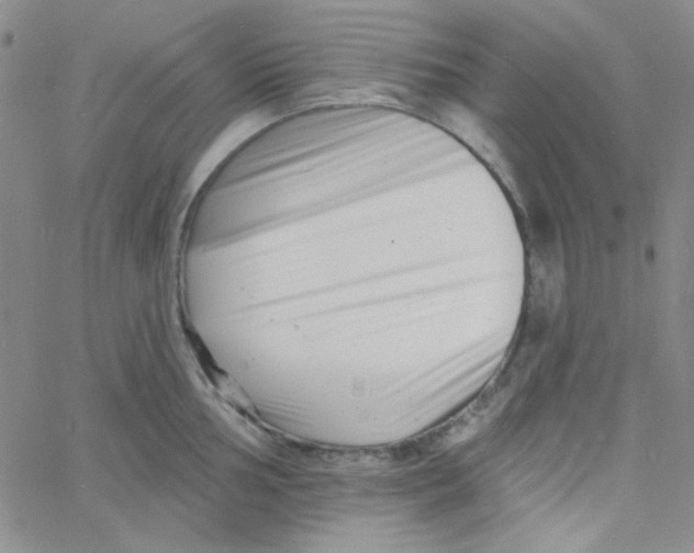 X0000060741002200512081913