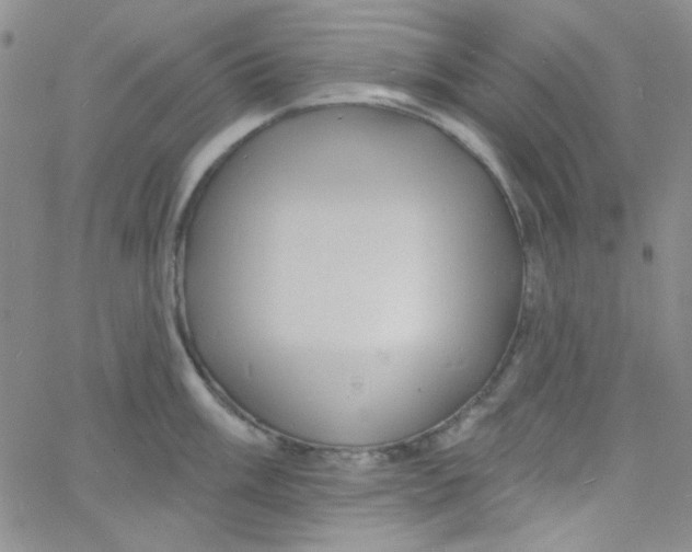 X0000060741003200512081913