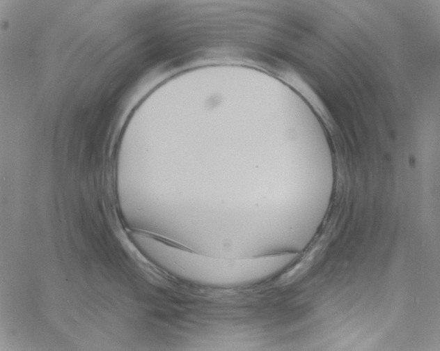 X0000060741004200512081913