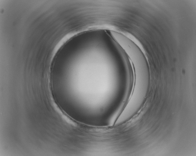 X0000060741005200512081913