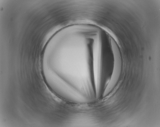 X0000060741006200512081913