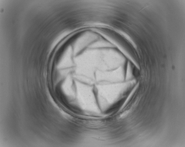 X0000060741007200512081913