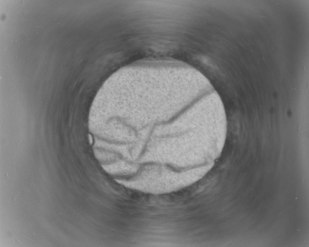 X0000060741009200512081912