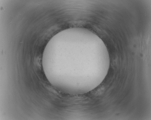 X0000060741010200512081912