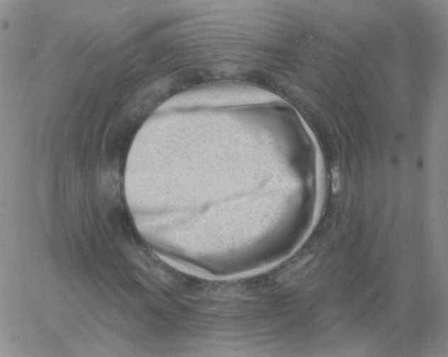 X0000060741011200512081912