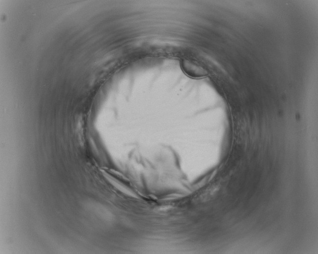 X0000060741013200512081912