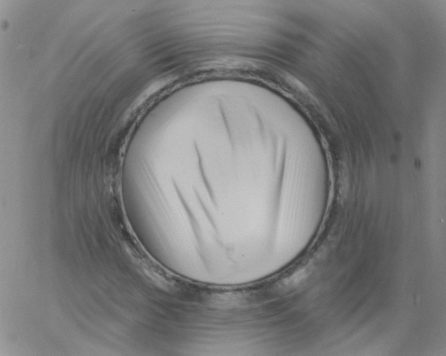 X0000060741017200512081912