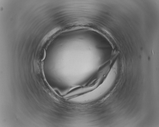 X0000060741018200512081912