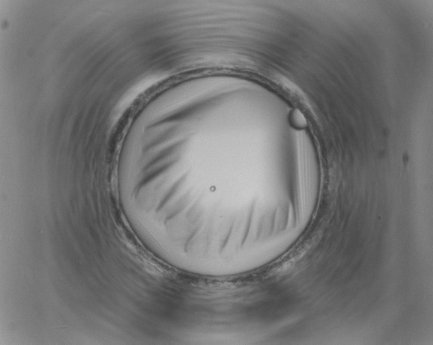 X0000060741019200512081912