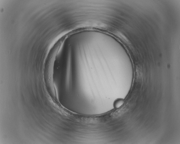 X0000060741020200512081912