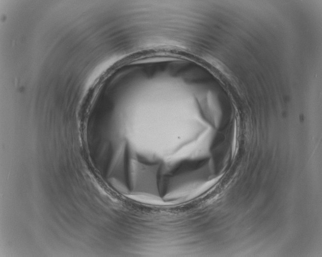 X0000060741022200512081912