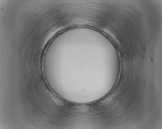 X0000060741023200512081912