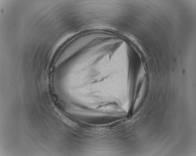 X0000060741024200512081912