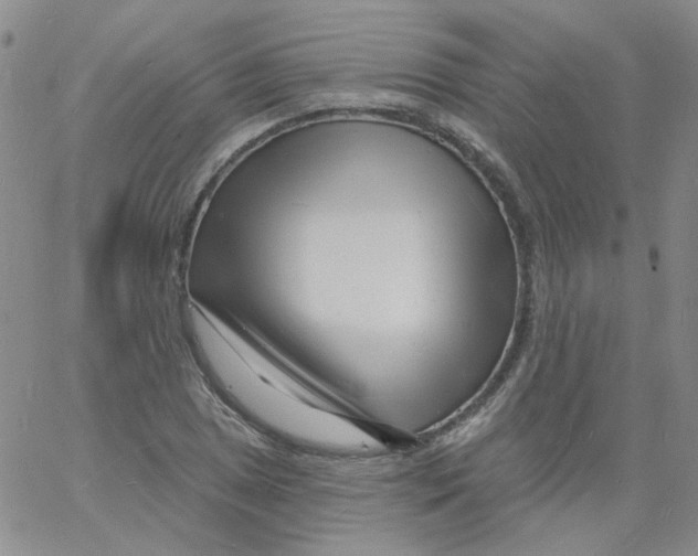 X0000060741025200512081912