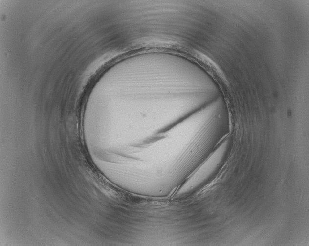 X0000060741027200512081912