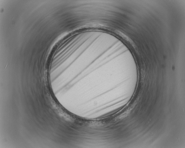 X0000060741029200512081912