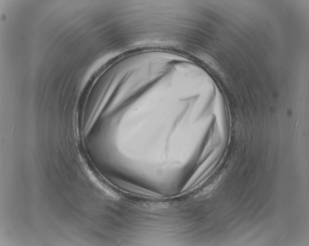 X0000060741030200512081912