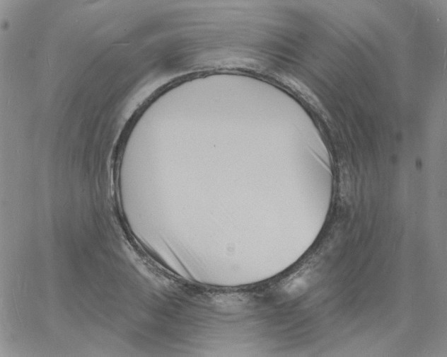 X0000060741031200512081912