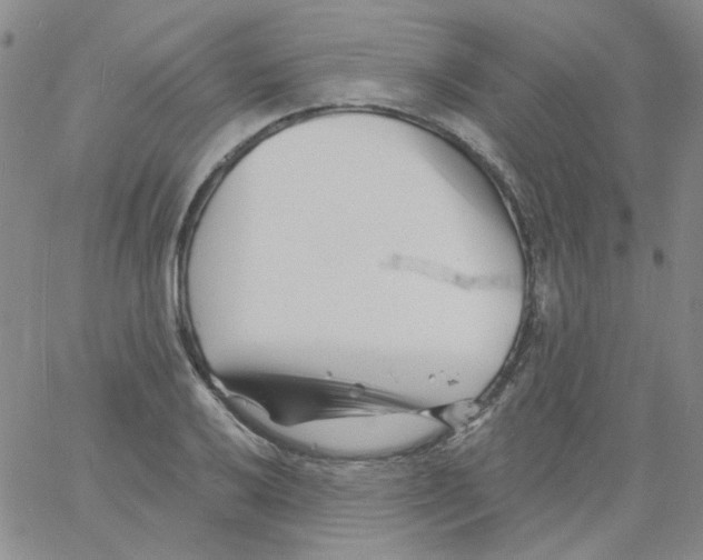 X0000060741032200512081912