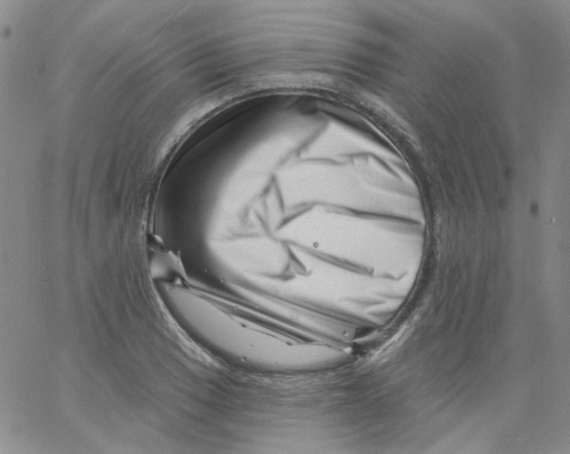 X0000060741033200512081912