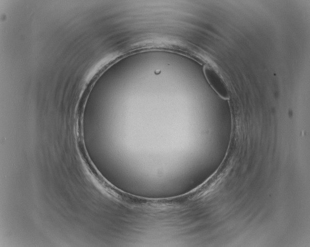 X0000060741034200512081912