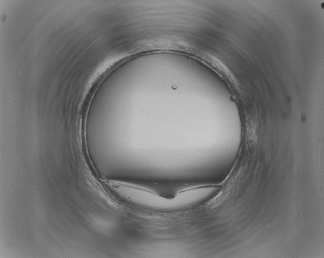 X0000060741035200512081912