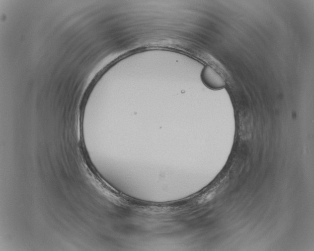 X0000060741036200512081912