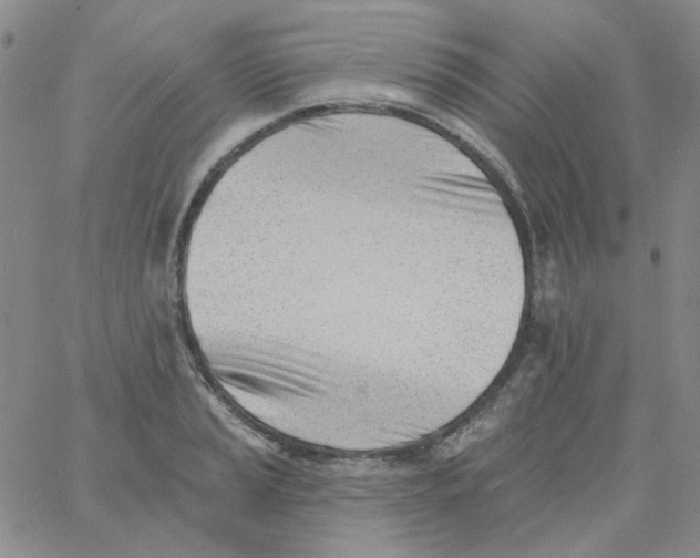 X0000060741037200512081913