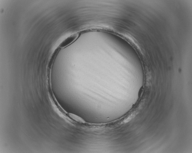 X0000060741038200512081913