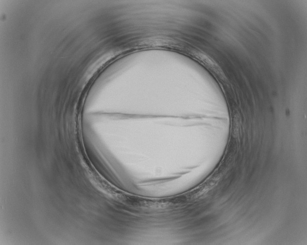 X0000060741039200512081913